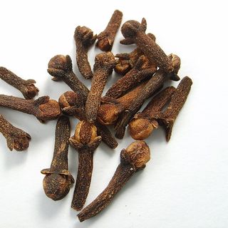 Szegfűszegbimbó-kivonat